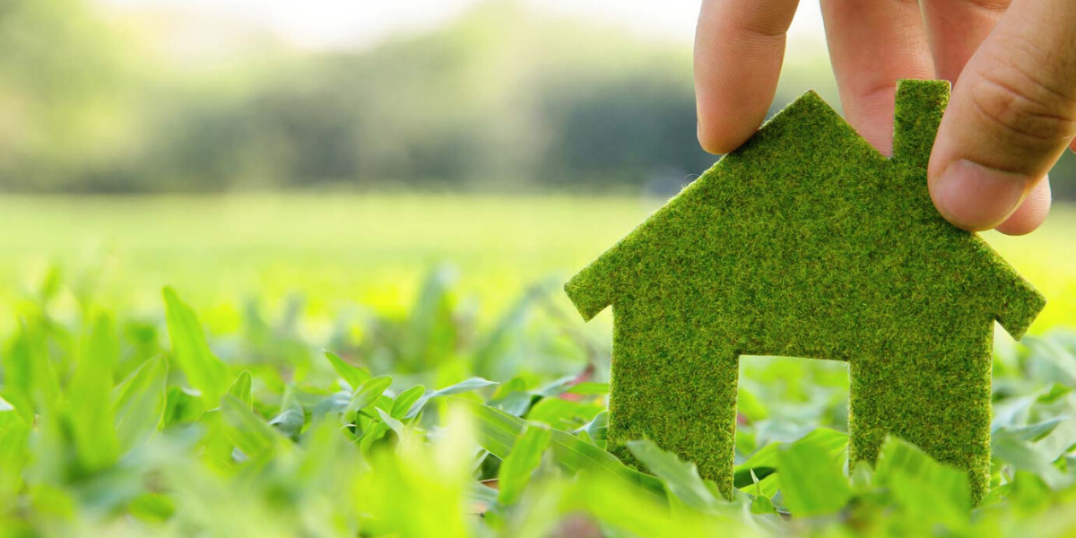 Servizi di Energy Management