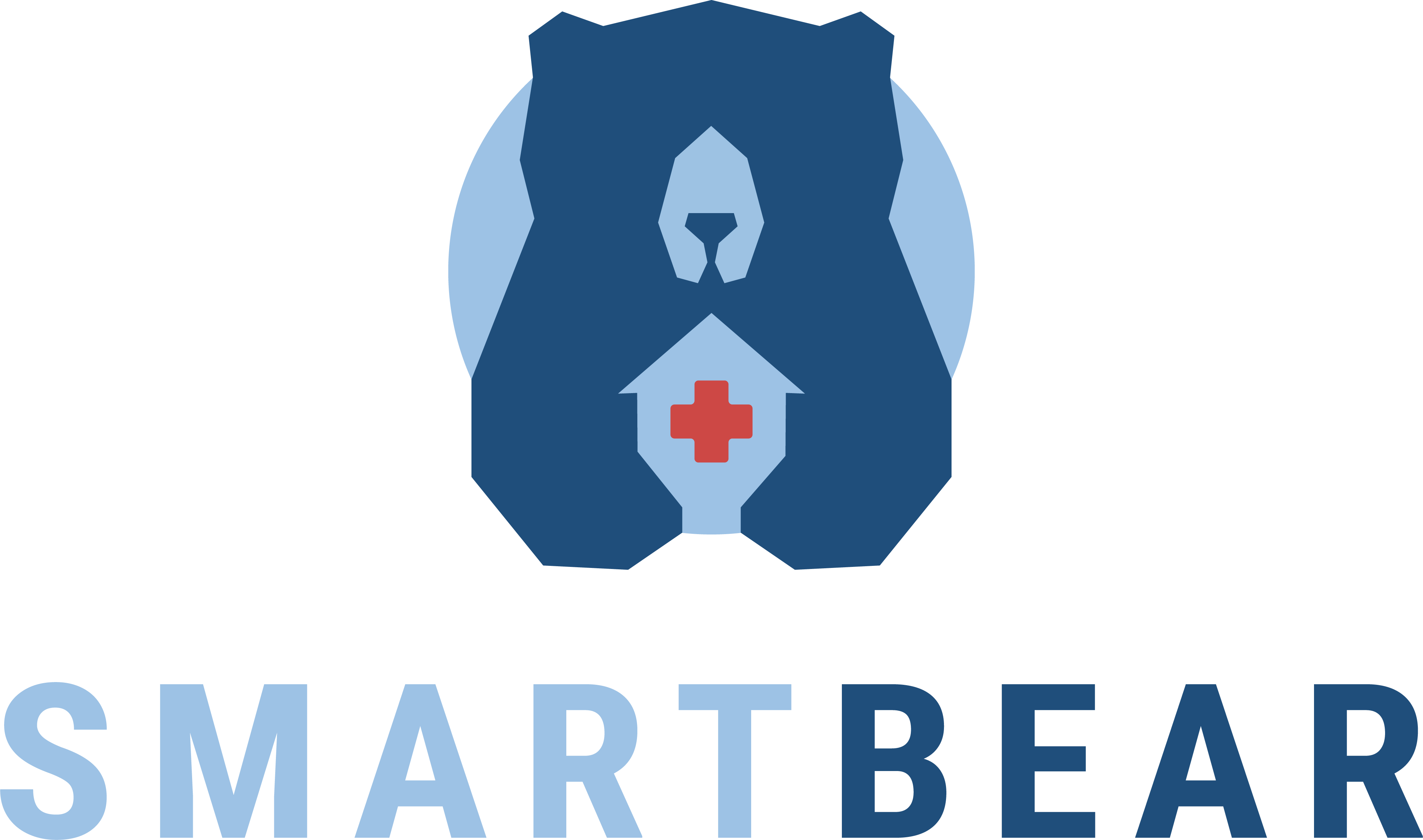 SMART BEAR